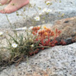 Meet your Posher, E.